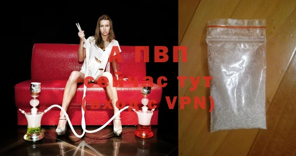 мяу мяу мука Чегем