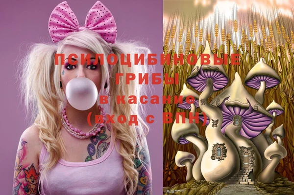 герыч Аркадак