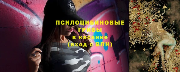 спиды Арсеньев