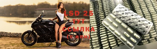 прущие крисы Армянск