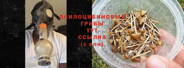 прущие крисы Армянск