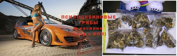 герыч Аркадак
