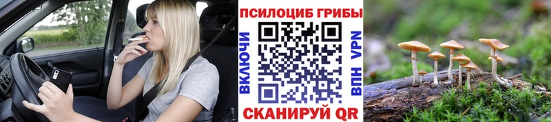 Псилоцибиновые грибы Psilocybe  Юрюзань 